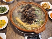 산더미오리