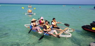 제주미니버스투어