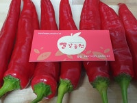 빨강농원