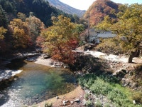 가평 노팅힐 계곡애견펜션