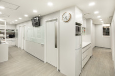 다니엘동물병원