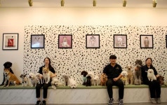 바우라움 강아지유치원&호텔 메인캠퍼스