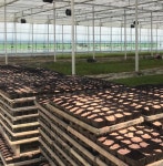 어울림농업회사법인