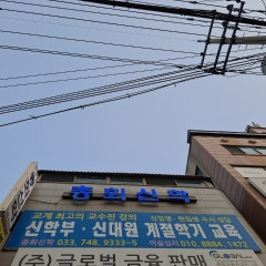 대한예수장로회합동개혁 총회신학