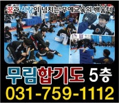 무림합기도