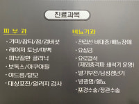 벌교맑은의원