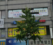 바른자세운동원