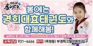 경희대효태권도장