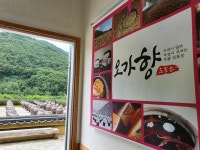 오가향