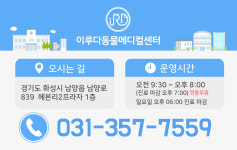 이루다동물병원