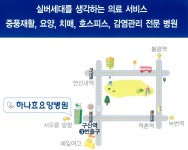 하나효요양병원