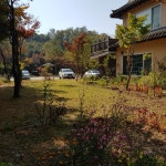 치악산한증막
