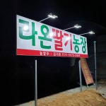 라온딸기농장