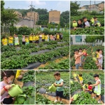 로뎀나무어린이집