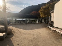 호박이넝쿨채로