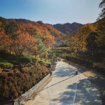 라땅뜨
