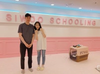 일산애견유치원 시우스쿨링 백석