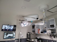 박한준종합동물병원