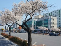 대한산업안전협회 대구지역본부