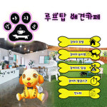 강아지트