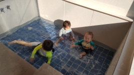 일과서림