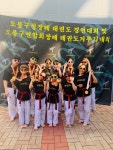 한국체대 월드태권도