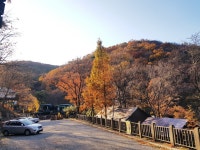 동화힐링캠프 글램핑