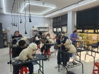 춘천애견미용학원