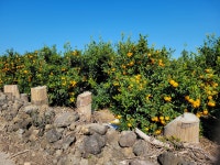 아빠는 농부다 승환이네 농장