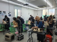 춘천애견미용학원