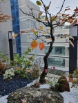 세무법인한맘