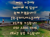 푸른섬제주여행사