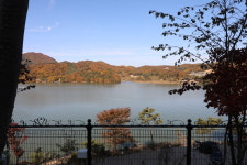 파이브이모션 by mygear