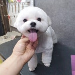 은밀하개위대하개