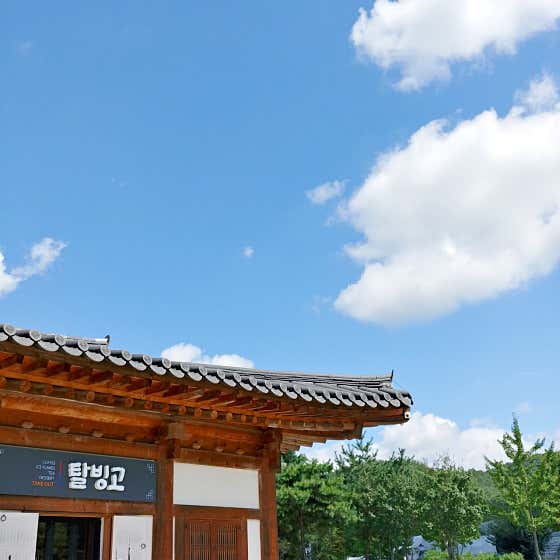 탈빙고 사진