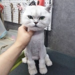 은밀하개위대하개