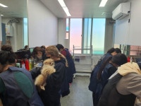 춘천애견미용학원
