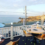 돌담위에흑돼지