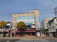 춘천애견미용학원