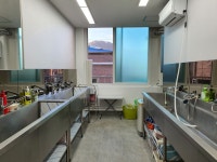 춘천애견미용학원