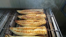척산장어촌
