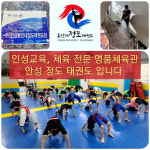 용인대정도태권도