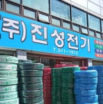 진성전기