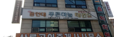 용인대푸른하늘태권도