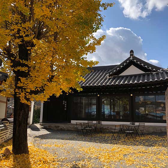 로컬커피 사진