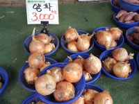 형제과일야채