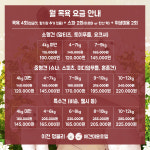 멍블리 애견미용&호텔놀이터