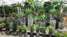 송강꽃집테크노점