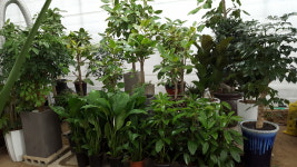 송강꽃집테크노점