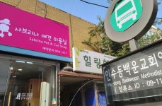 사브리나애견미용실